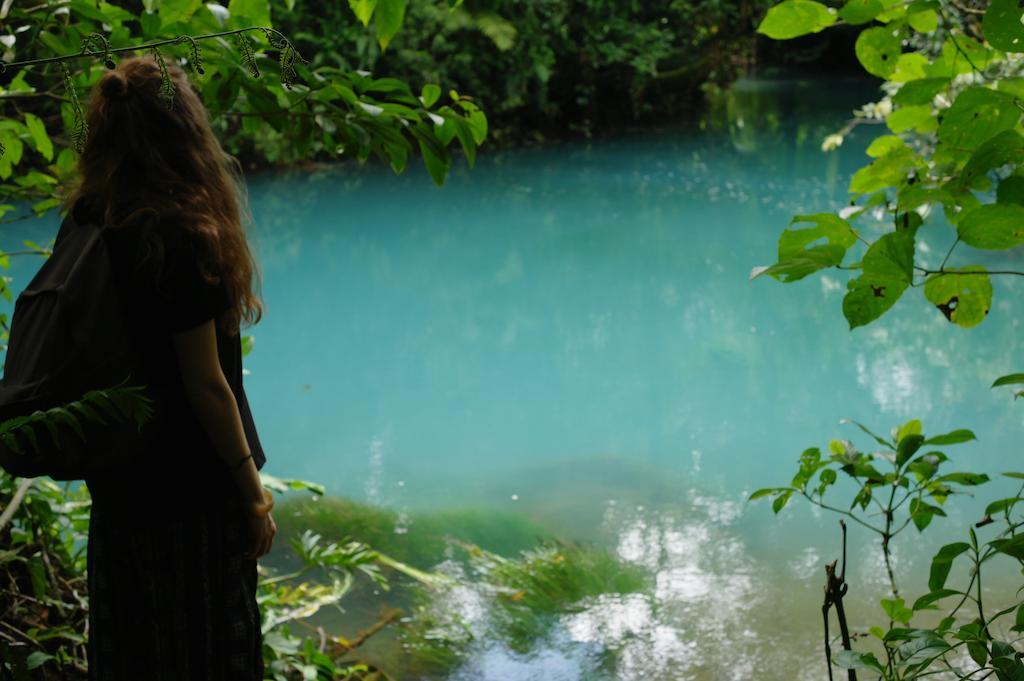 Finca Verde Lodgeビハグア エクステリア 写真