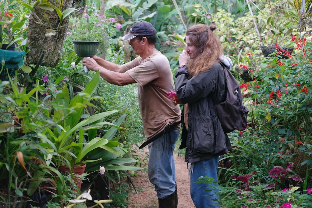 Finca Verde Lodgeビハグア エクステリア 写真