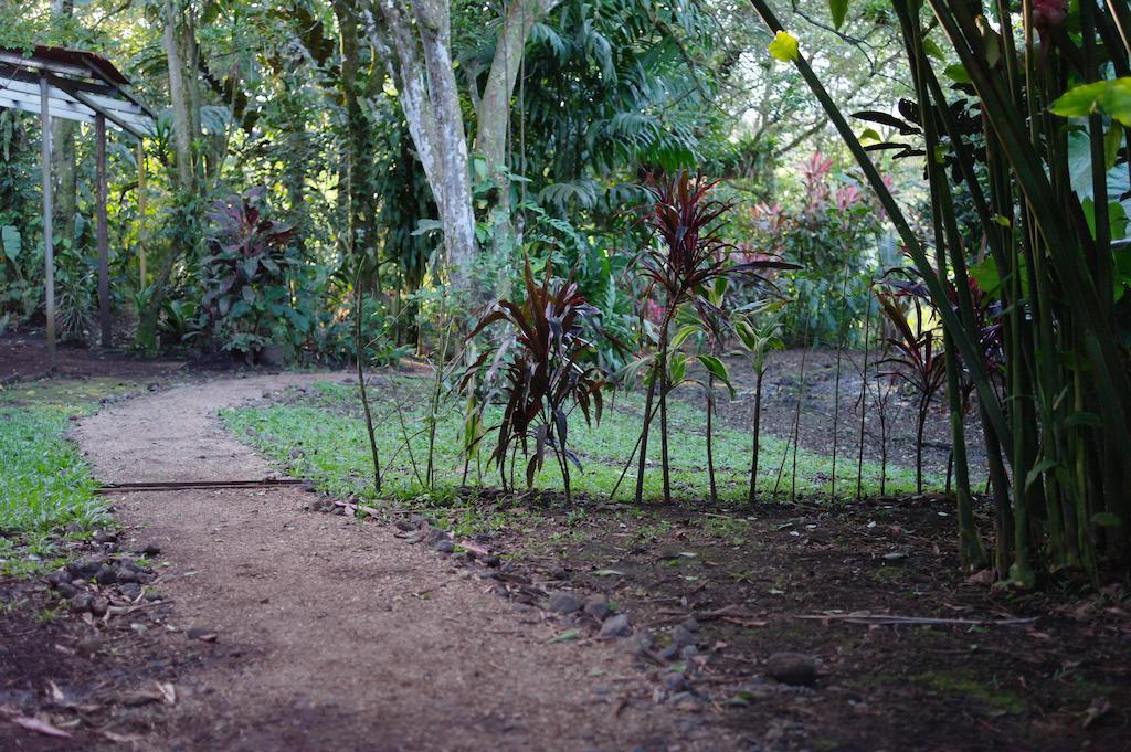 Finca Verde Lodgeビハグア エクステリア 写真