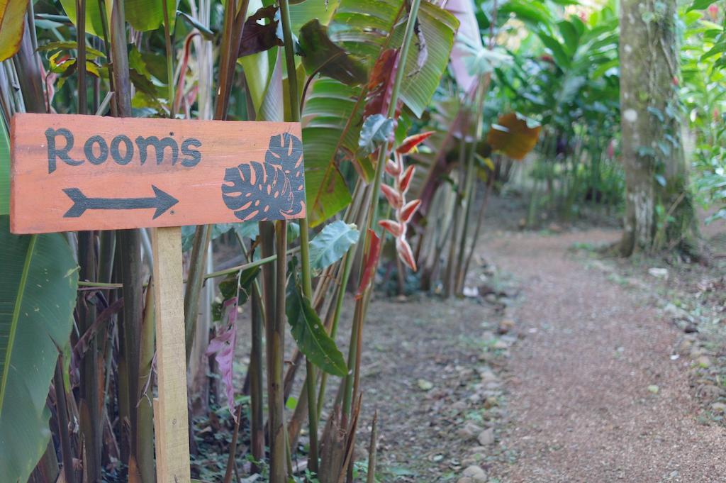 Finca Verde Lodgeビハグア エクステリア 写真