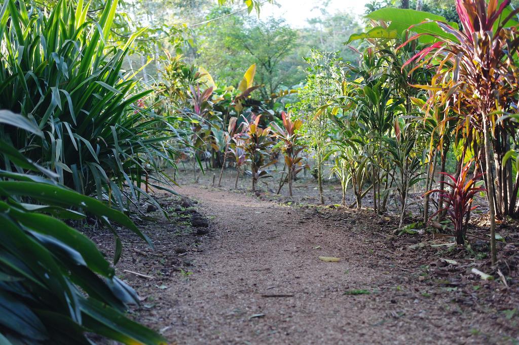 Finca Verde Lodgeビハグア エクステリア 写真