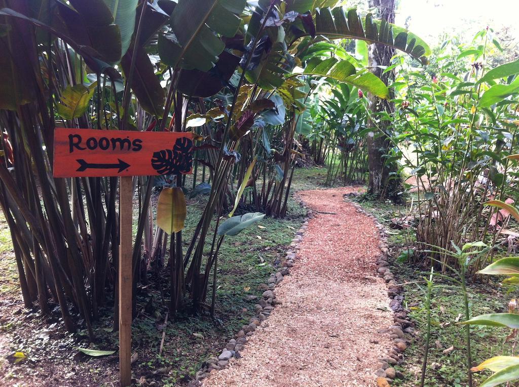 Finca Verde Lodgeビハグア エクステリア 写真