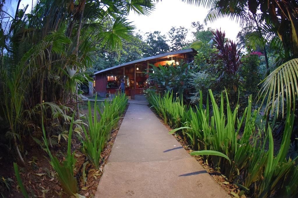 Finca Verde Lodgeビハグア エクステリア 写真