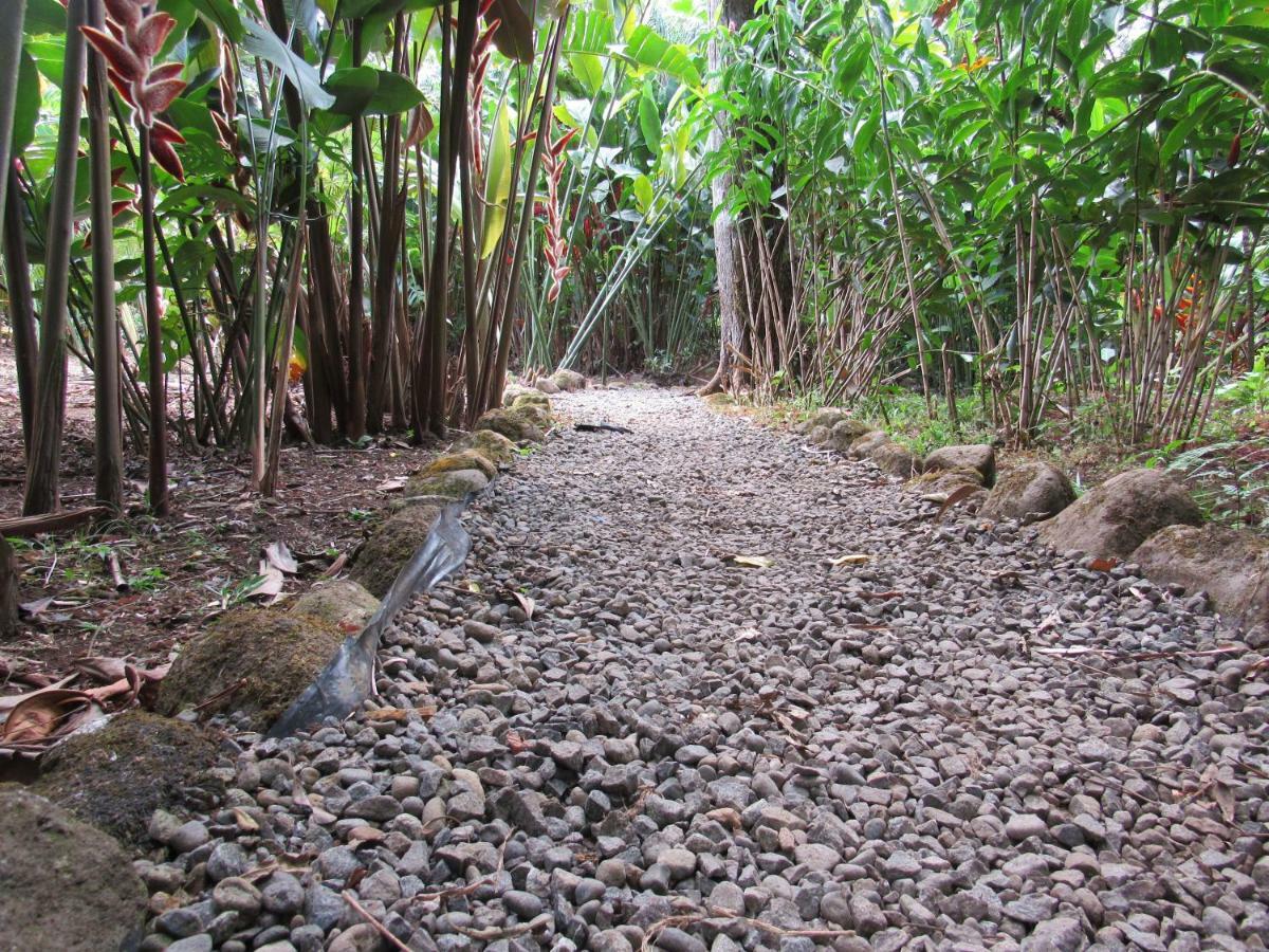 Finca Verde Lodgeビハグア エクステリア 写真