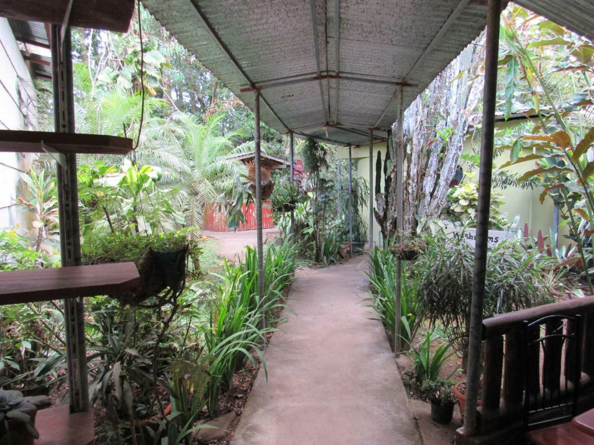 Finca Verde Lodgeビハグア エクステリア 写真