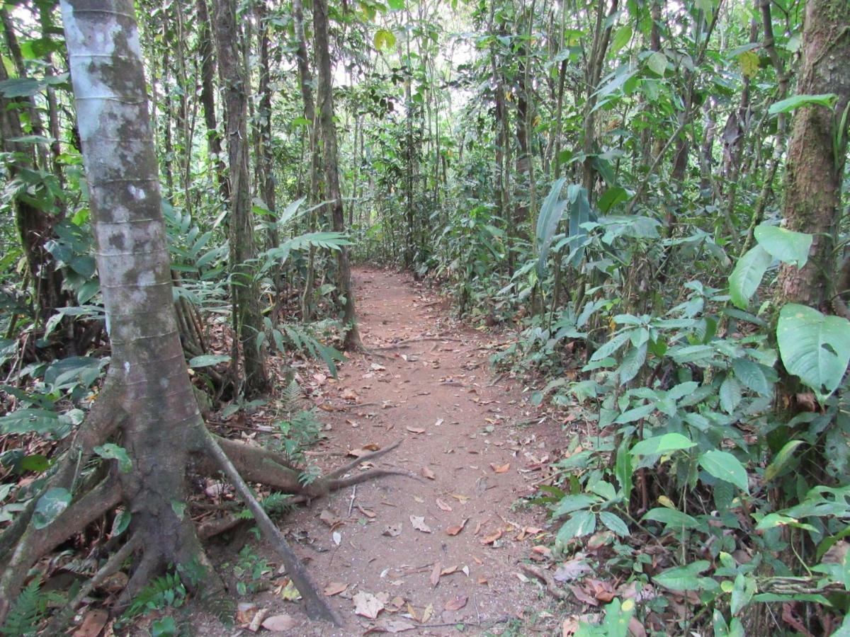 Finca Verde Lodgeビハグア エクステリア 写真