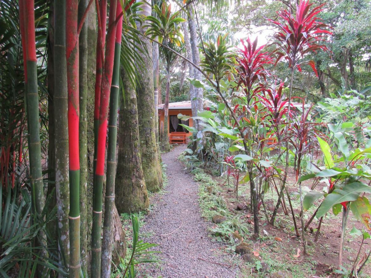 Finca Verde Lodgeビハグア エクステリア 写真