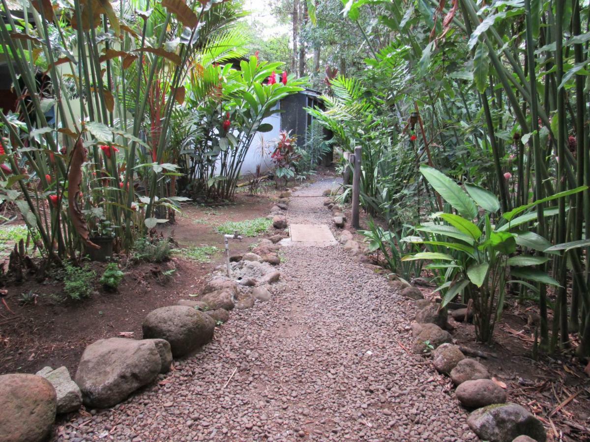 Finca Verde Lodgeビハグア エクステリア 写真