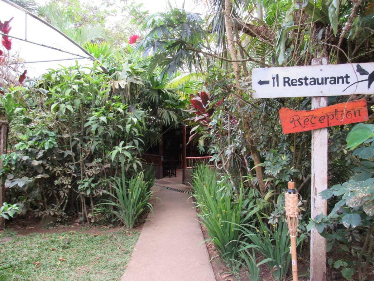 Finca Verde Lodgeビハグア エクステリア 写真