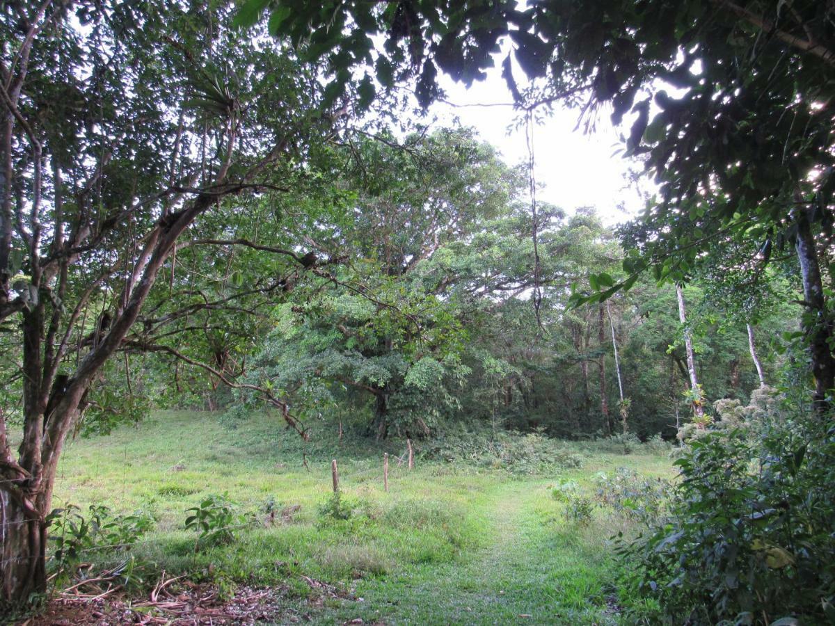 Finca Verde Lodgeビハグア エクステリア 写真