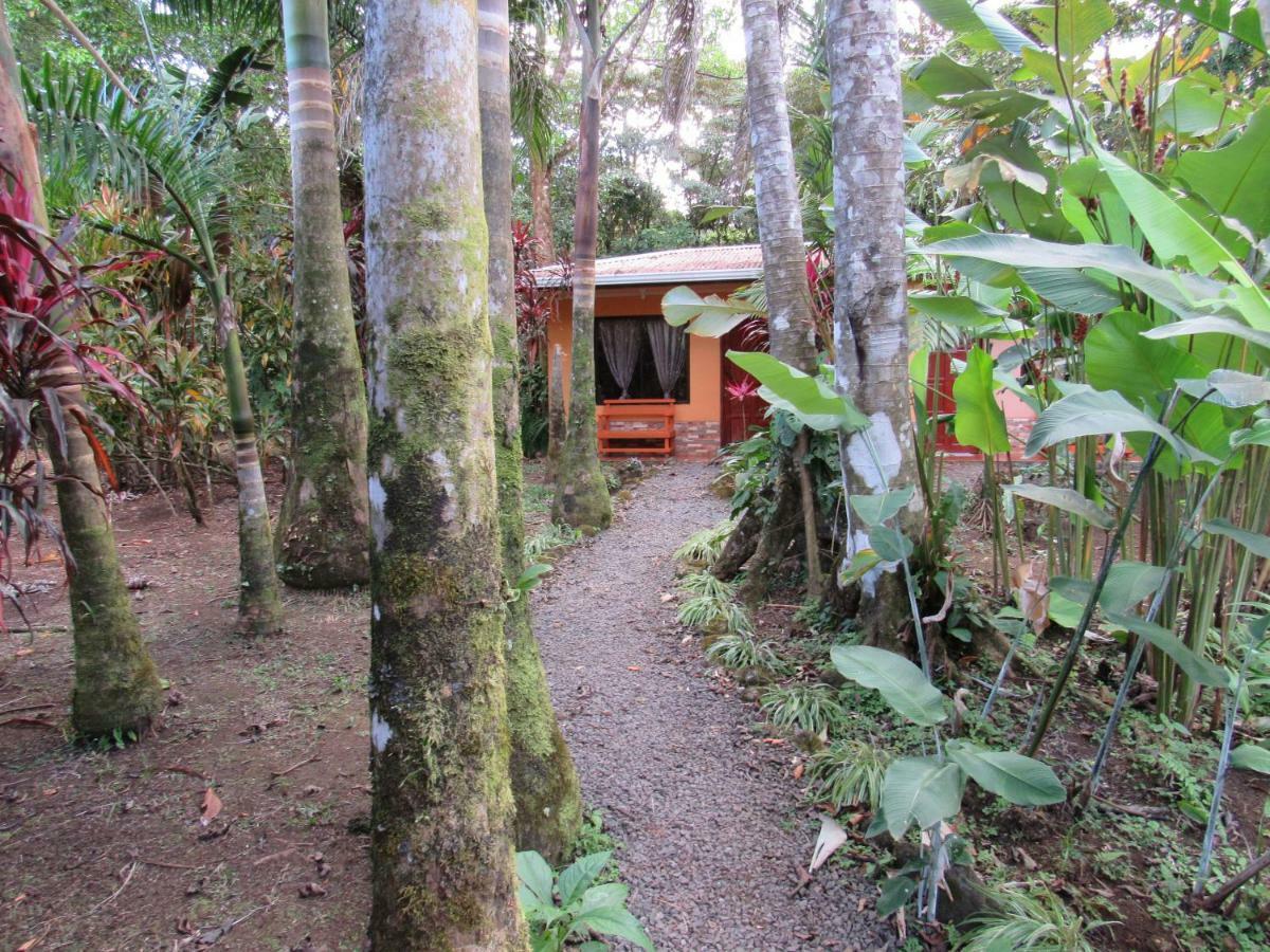Finca Verde Lodgeビハグア エクステリア 写真