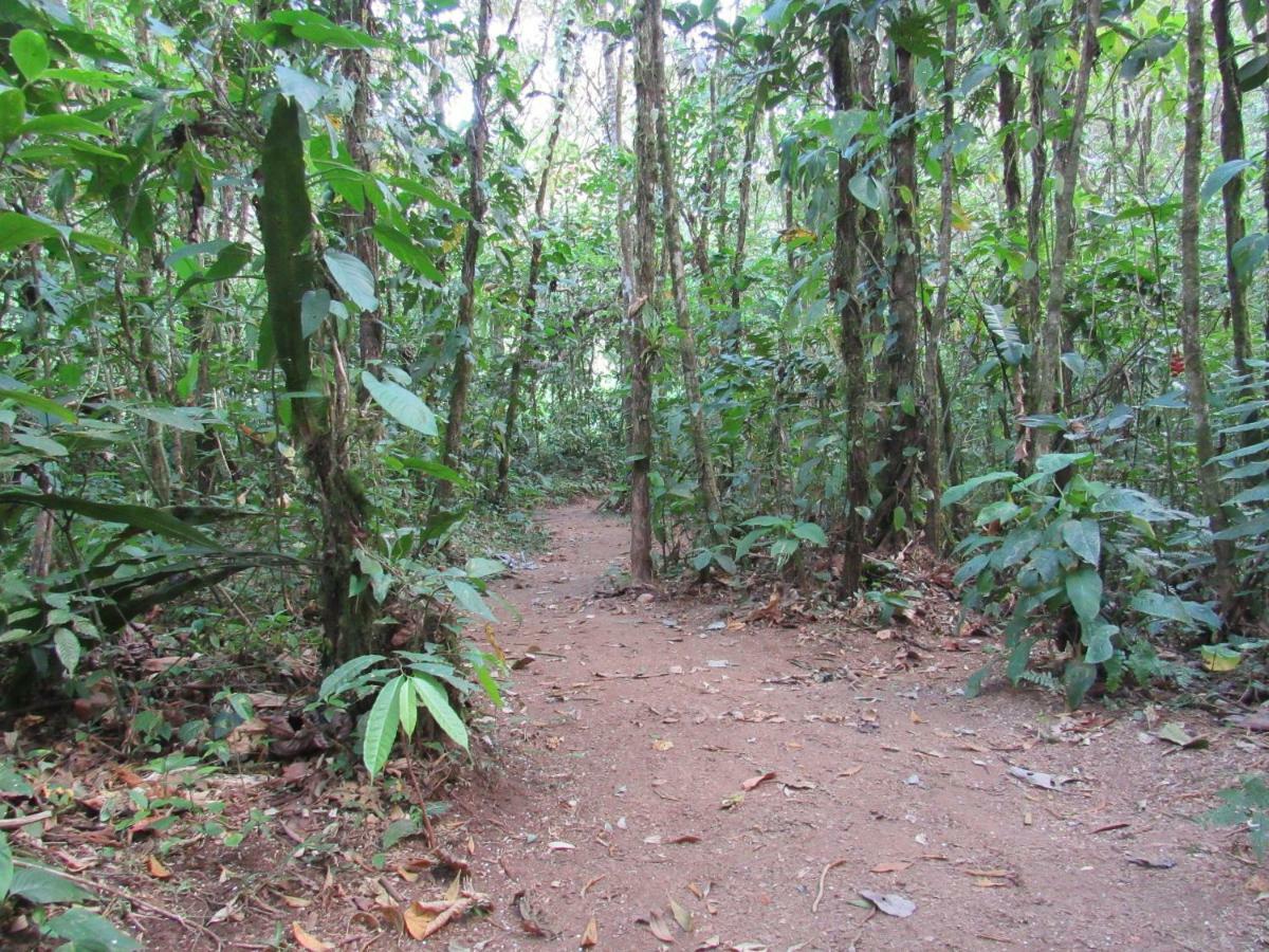 Finca Verde Lodgeビハグア エクステリア 写真